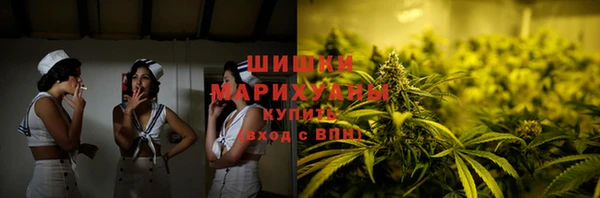 ПСИЛОЦИБИНОВЫЕ ГРИБЫ Белокуриха