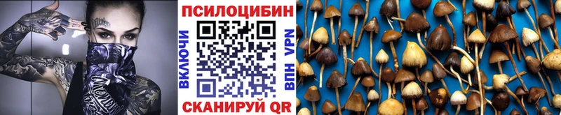 цены   Старая Купавна  Галлюциногенные грибы прущие грибы 